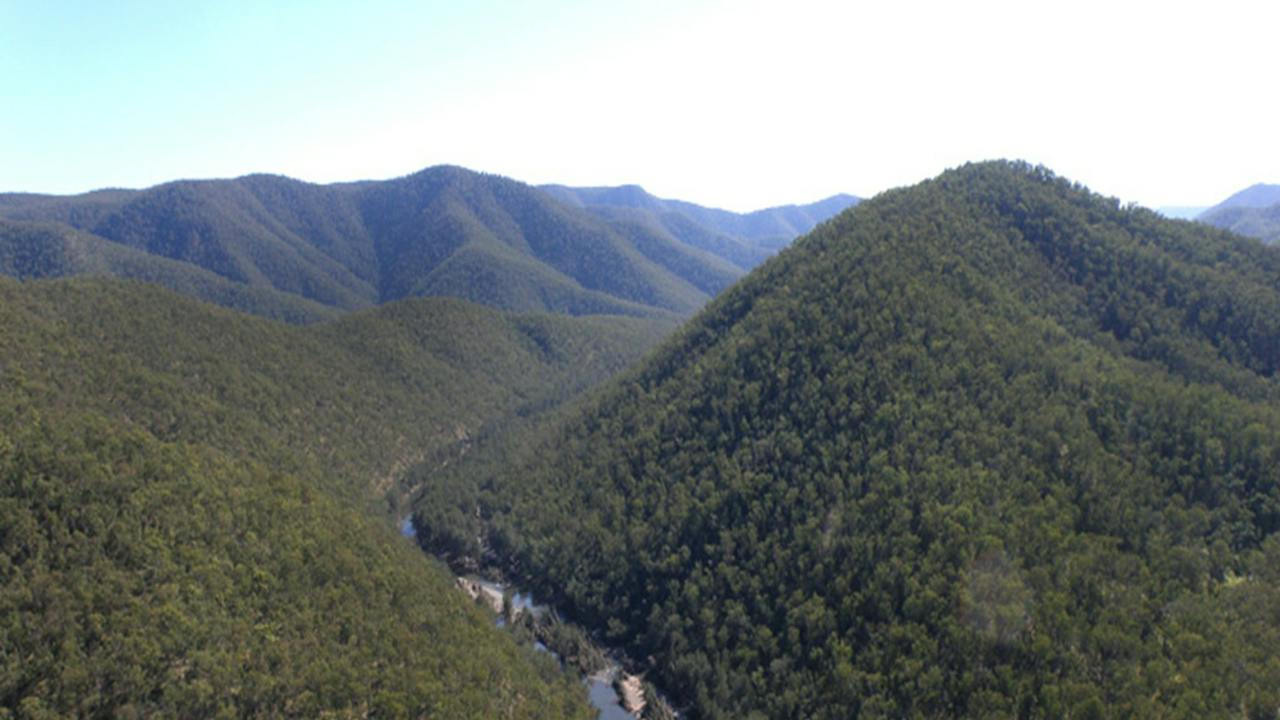 Guy Fawkes River National Park