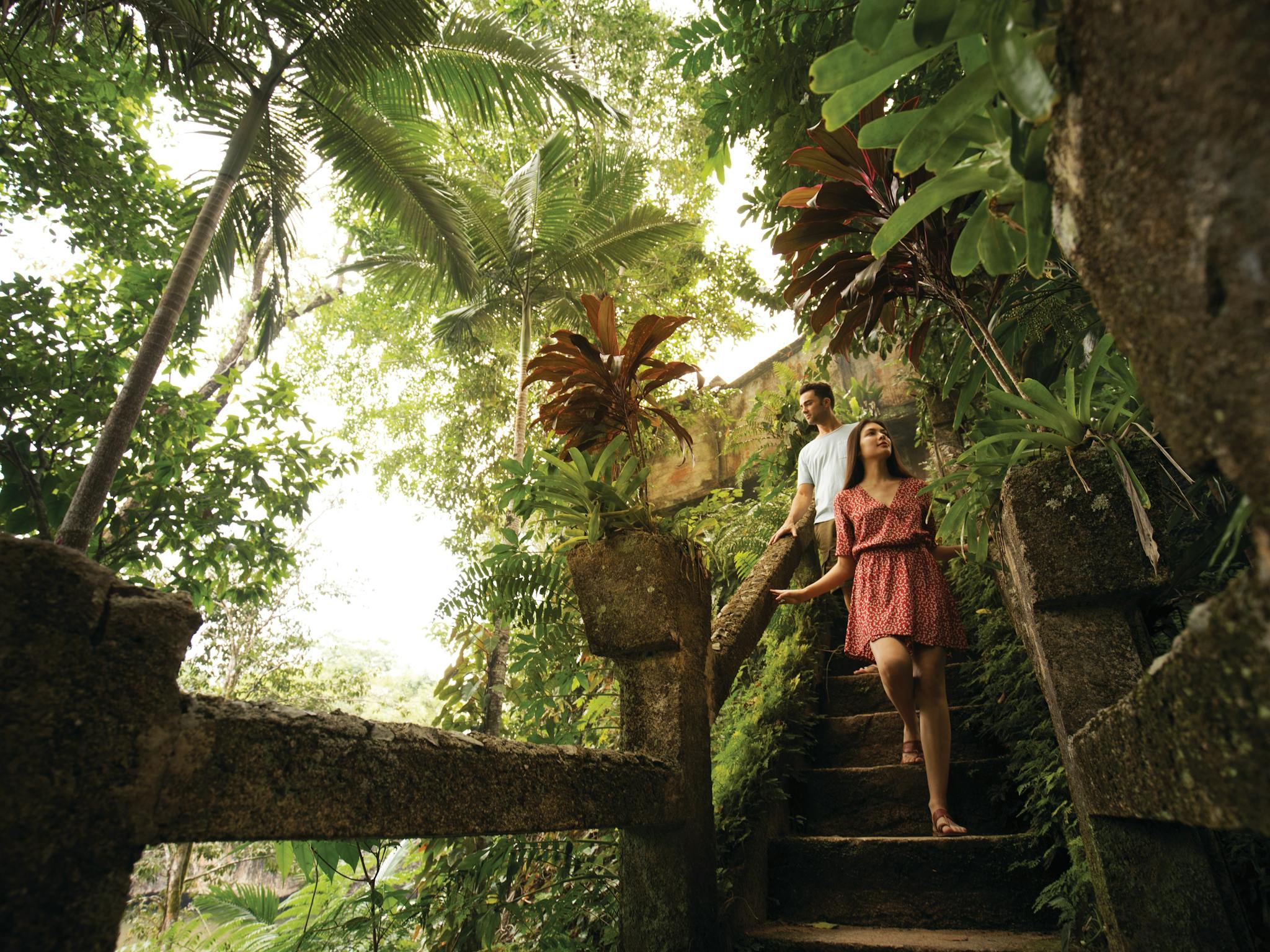 Couple walk down the grand stair case at Paronella Park taking in the tropical landscapes.
