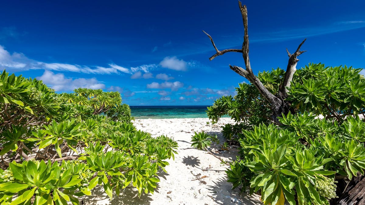 Wilson Island - a one-of-a-kind Great Barrier Reef Getaway with only nine sites available