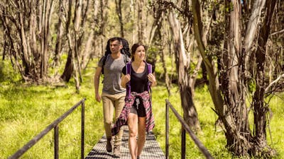 Hume & Hovell Track