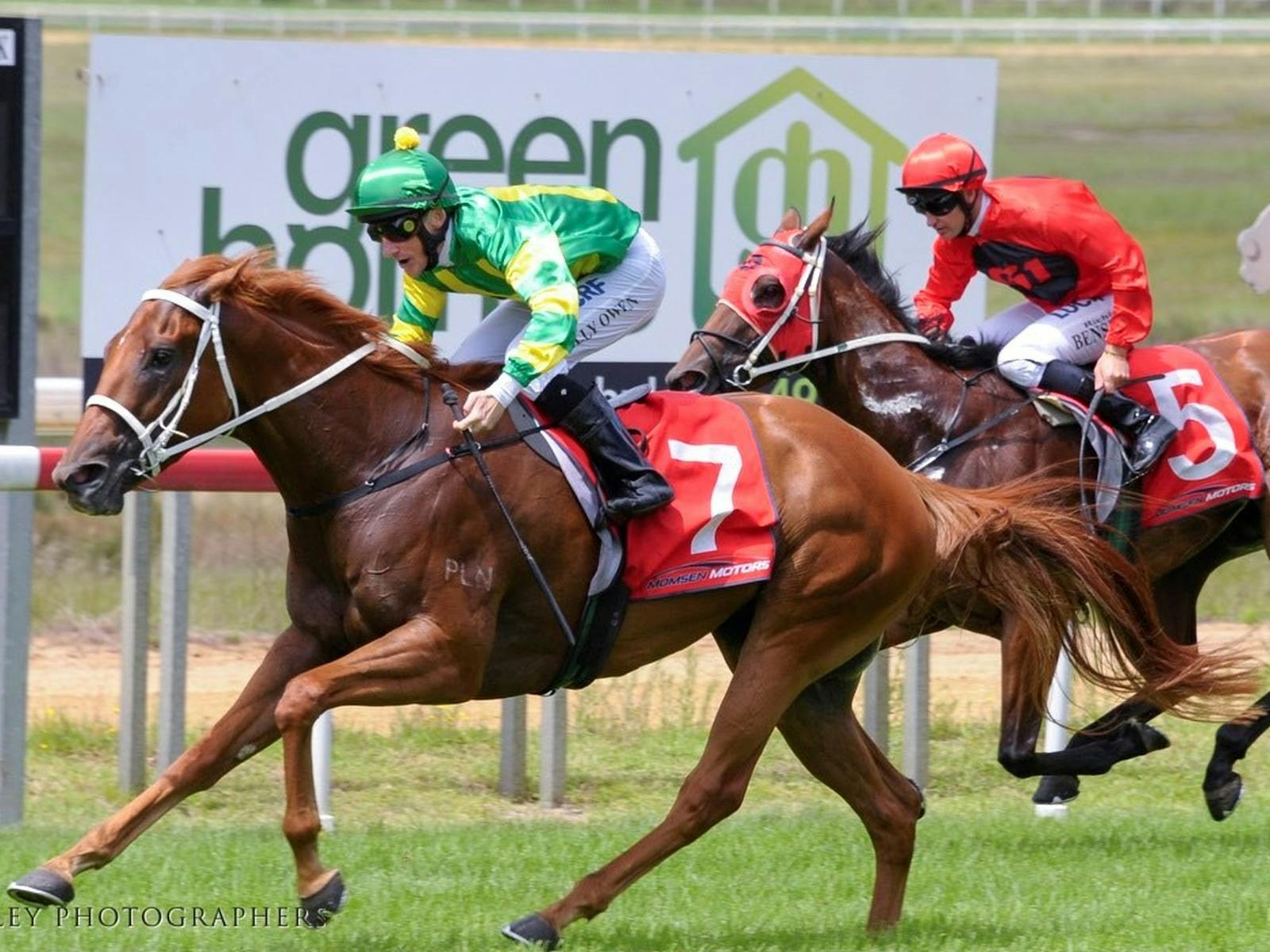 Image for Melbourne Cup Calcutta