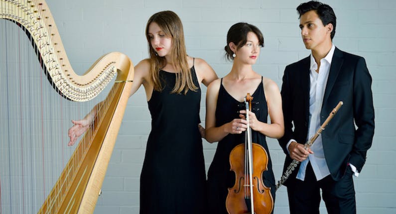 Image of the event 'Chrysalis Trio'