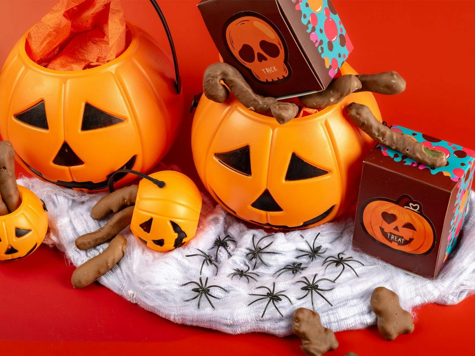Halloween experience at the chocolateries mornington peninsula