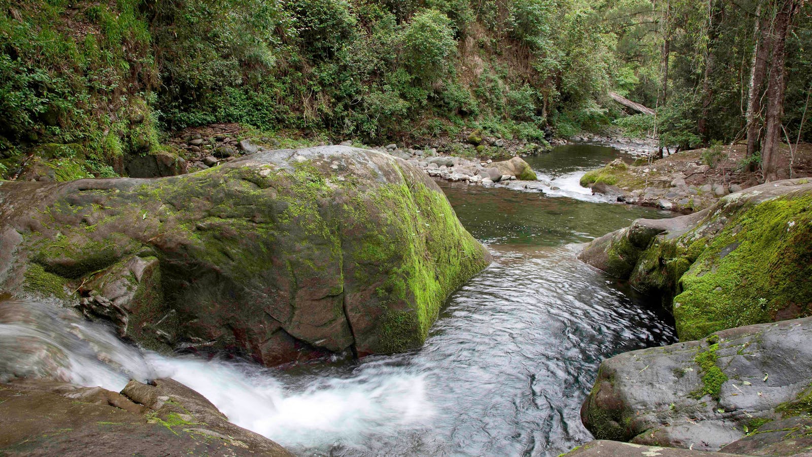 Allyn River, Chichester State Forest