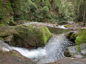 Allyn River, Chichester State Forest