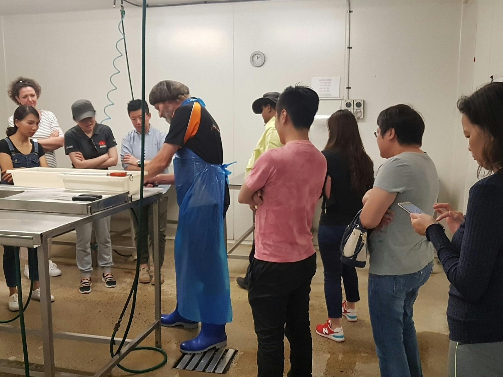 A group enjoying a filleting demo at the seafood factory