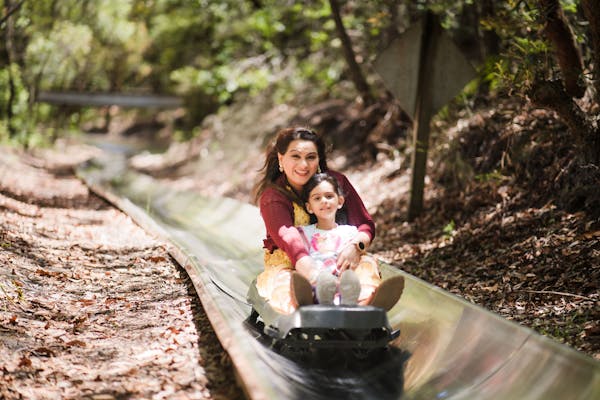 Toboggan Hill Park