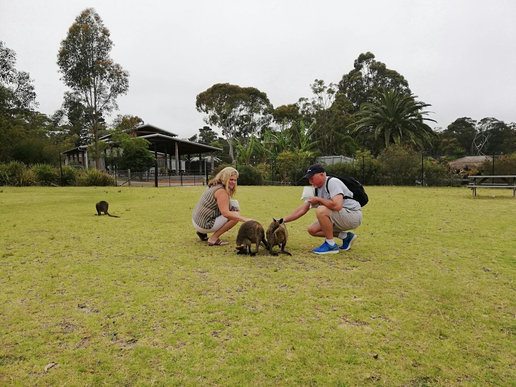 Southern Highlands and Kangaroo Valley Tours