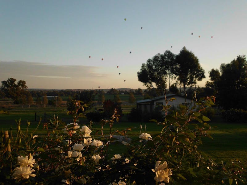 Belubula Cottage Canowindra