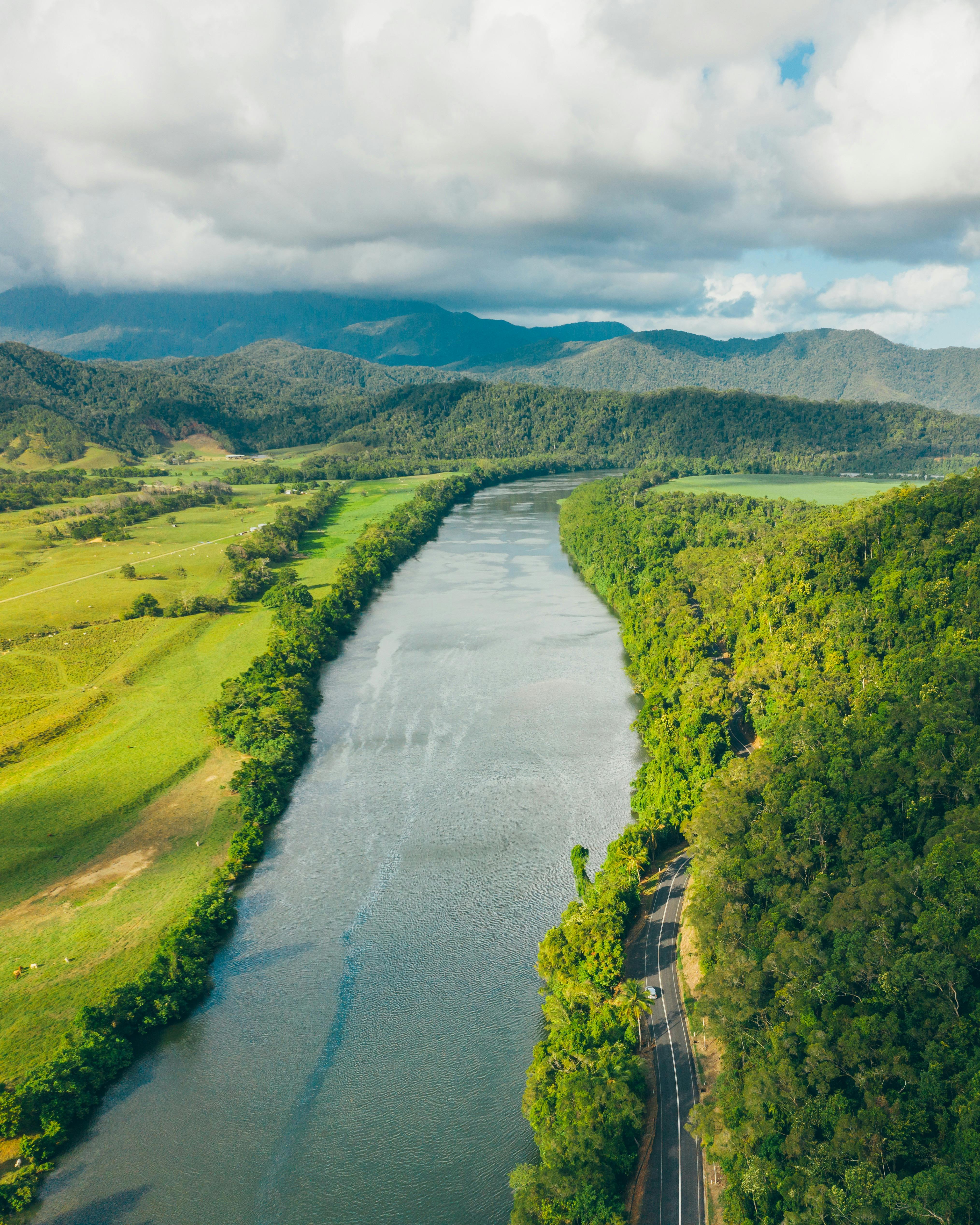 Daintree River