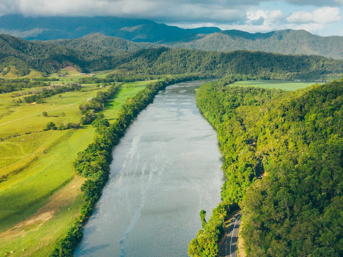 Daintree River Queensland