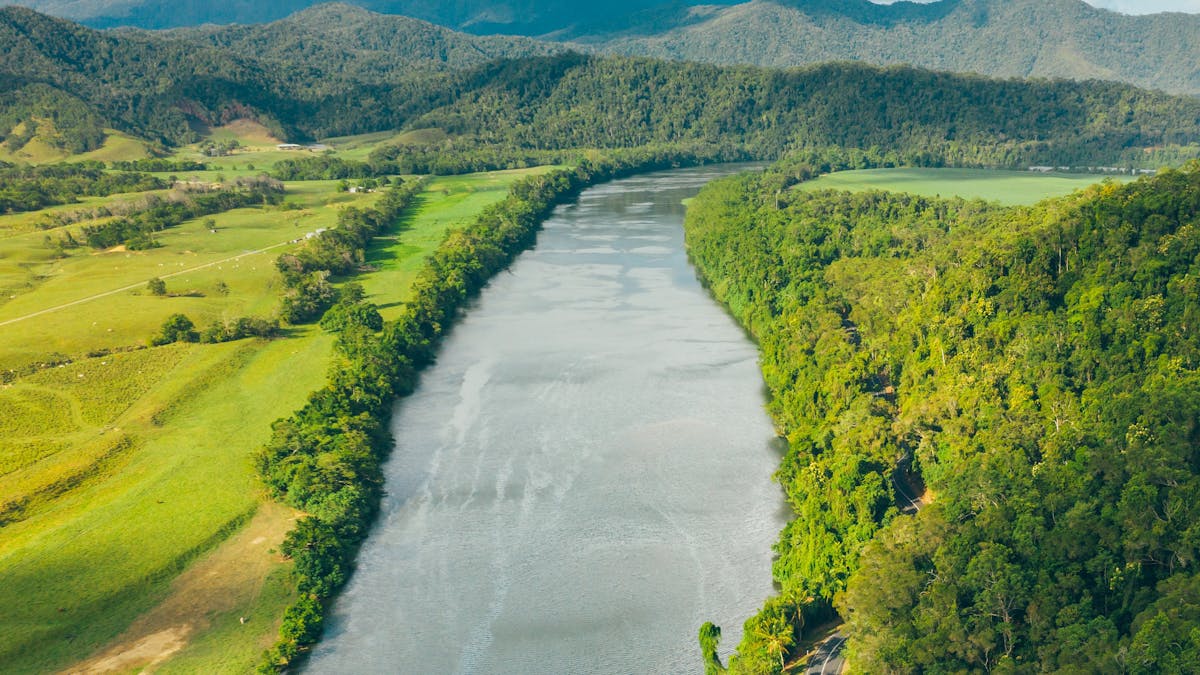 Daintree River aerial view