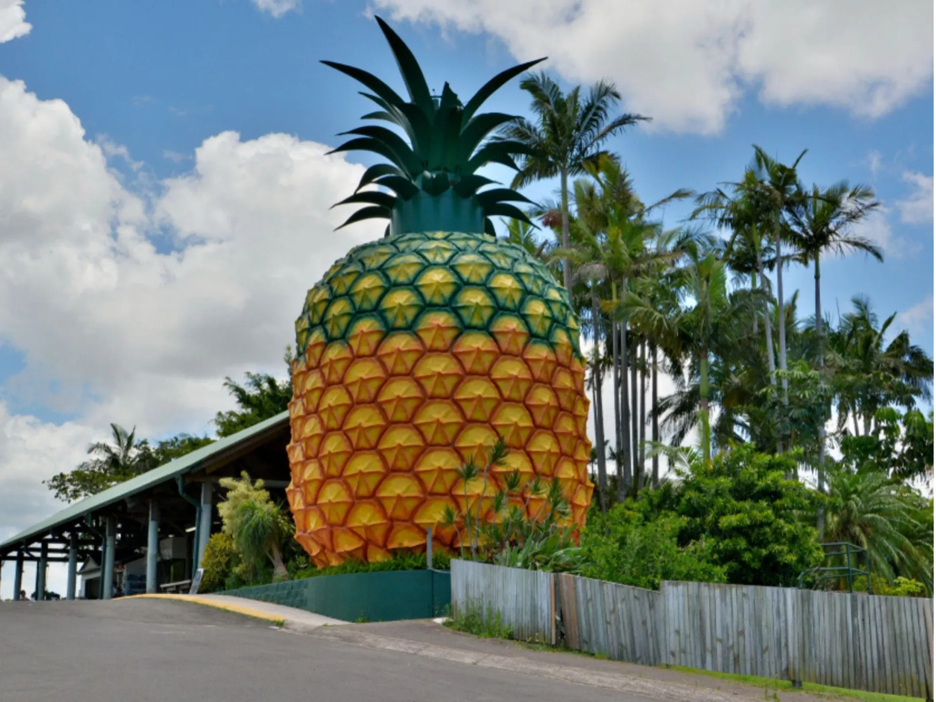 The Big Pineapple