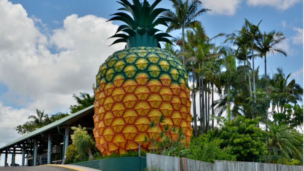 The Big Pineapple