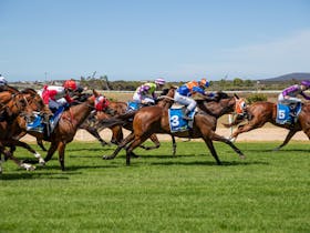 Port Lincoln Cup 2024