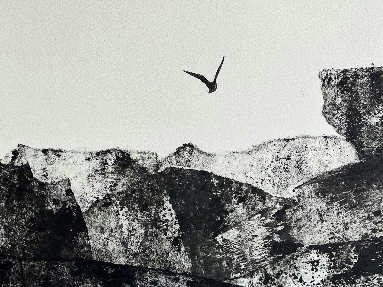 Shorelines | Helen Brancatisano, Miriam Cullen, Trish Yates