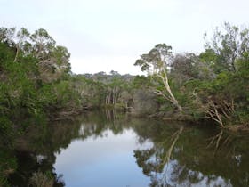 Balcombe Creek Estuary