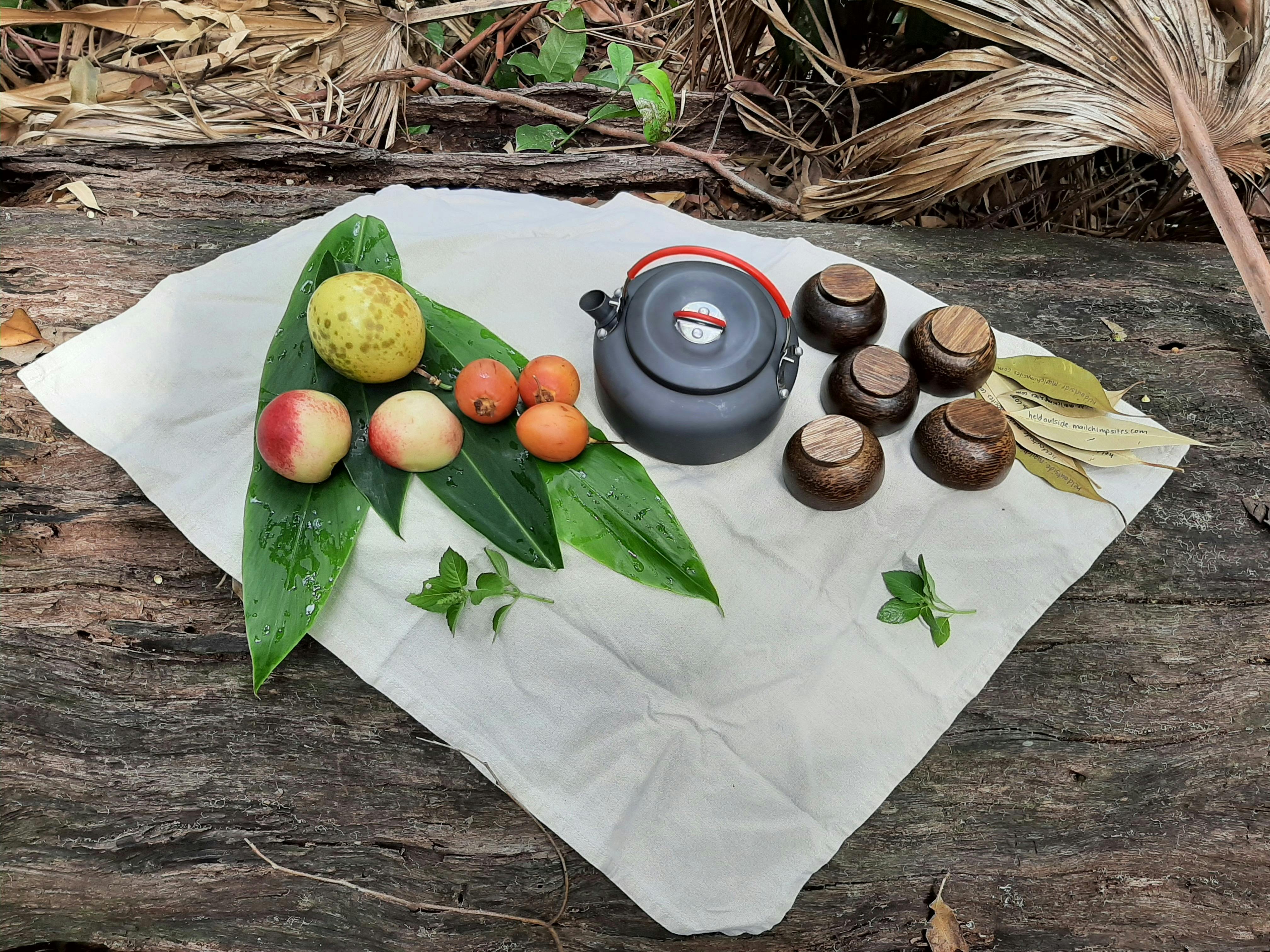 Tea pot and fruits for forest bathing