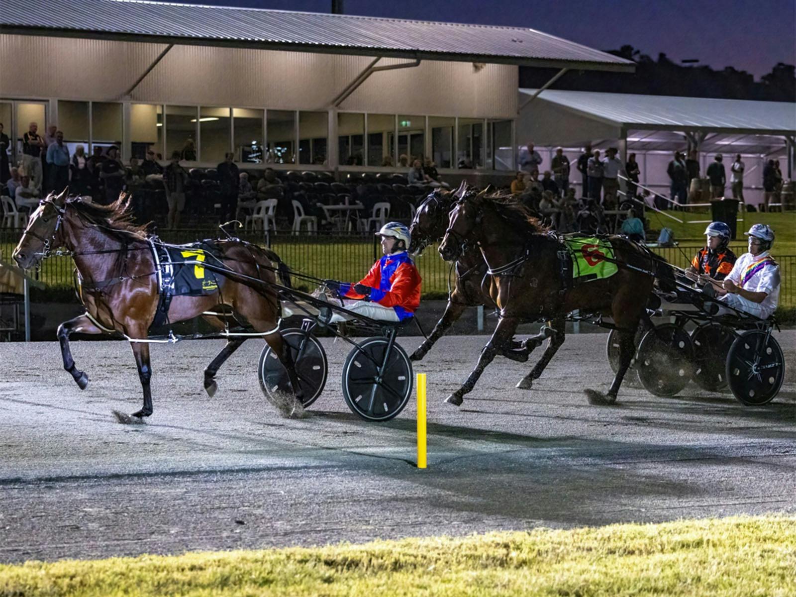 Evening harness racing