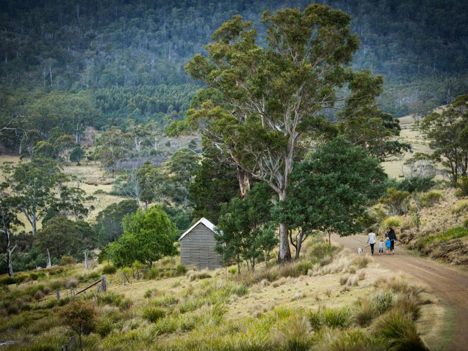Twamley Farm Shearers' Hut
