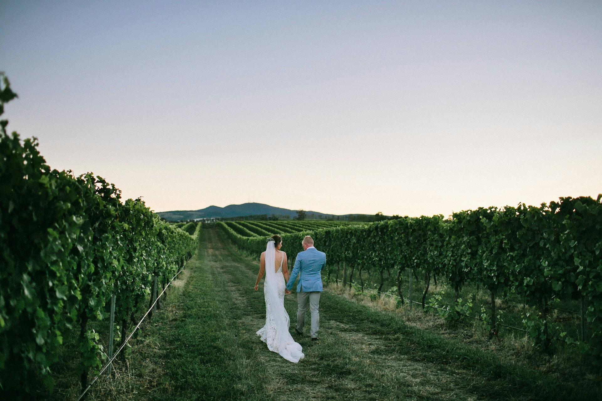 Weddings at Heifer Station Wines
