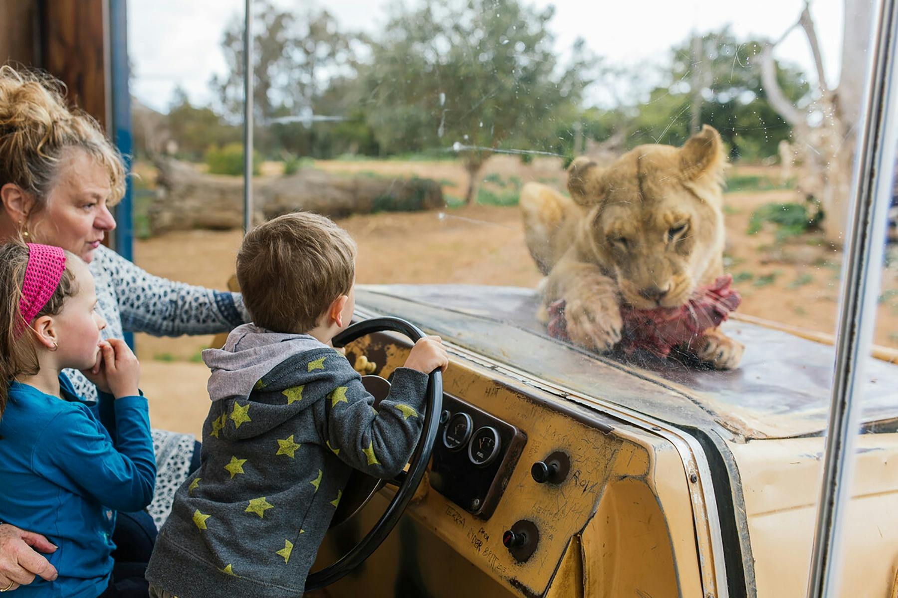 Werribee Open Range Zoo