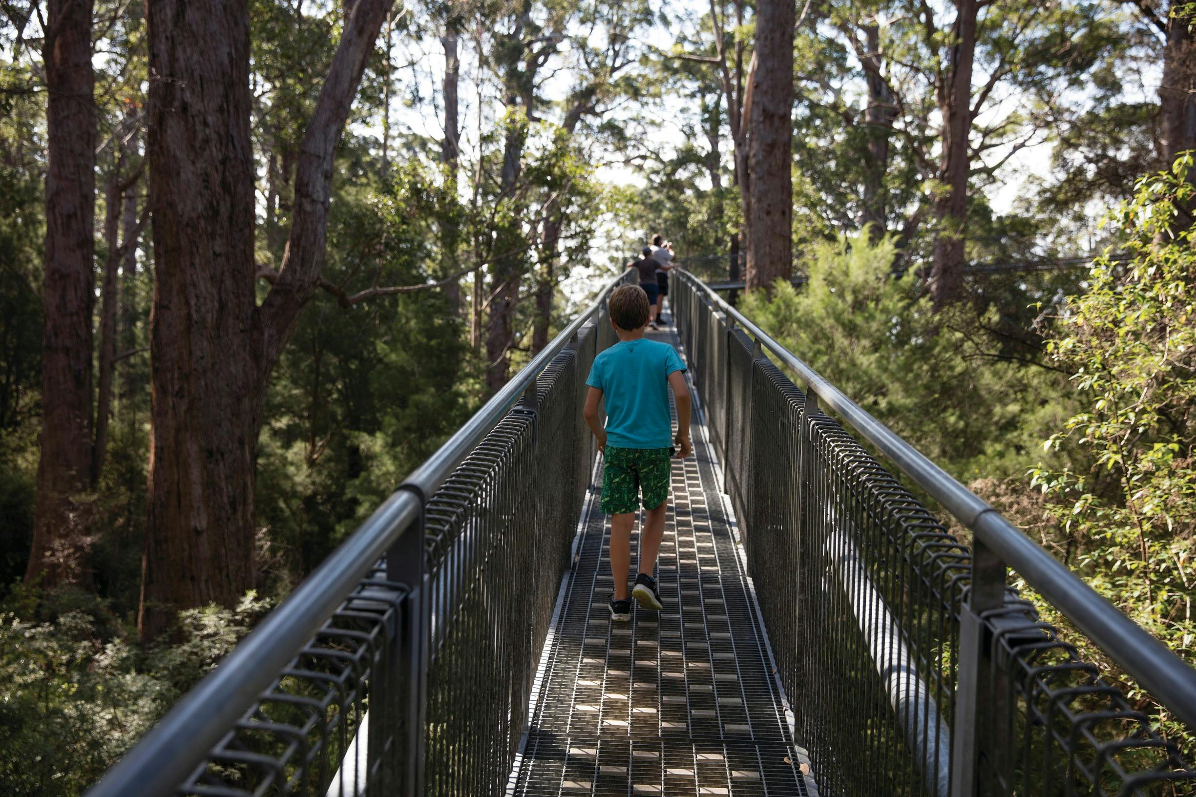 Best of the South West, Walpole-Nornalup National Park, Western Australia
