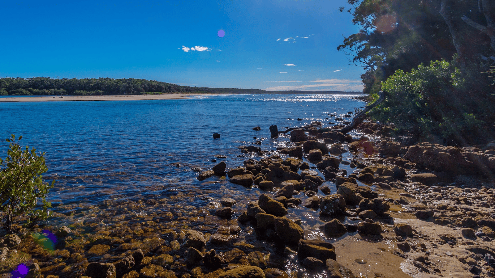 Buckleys Beach