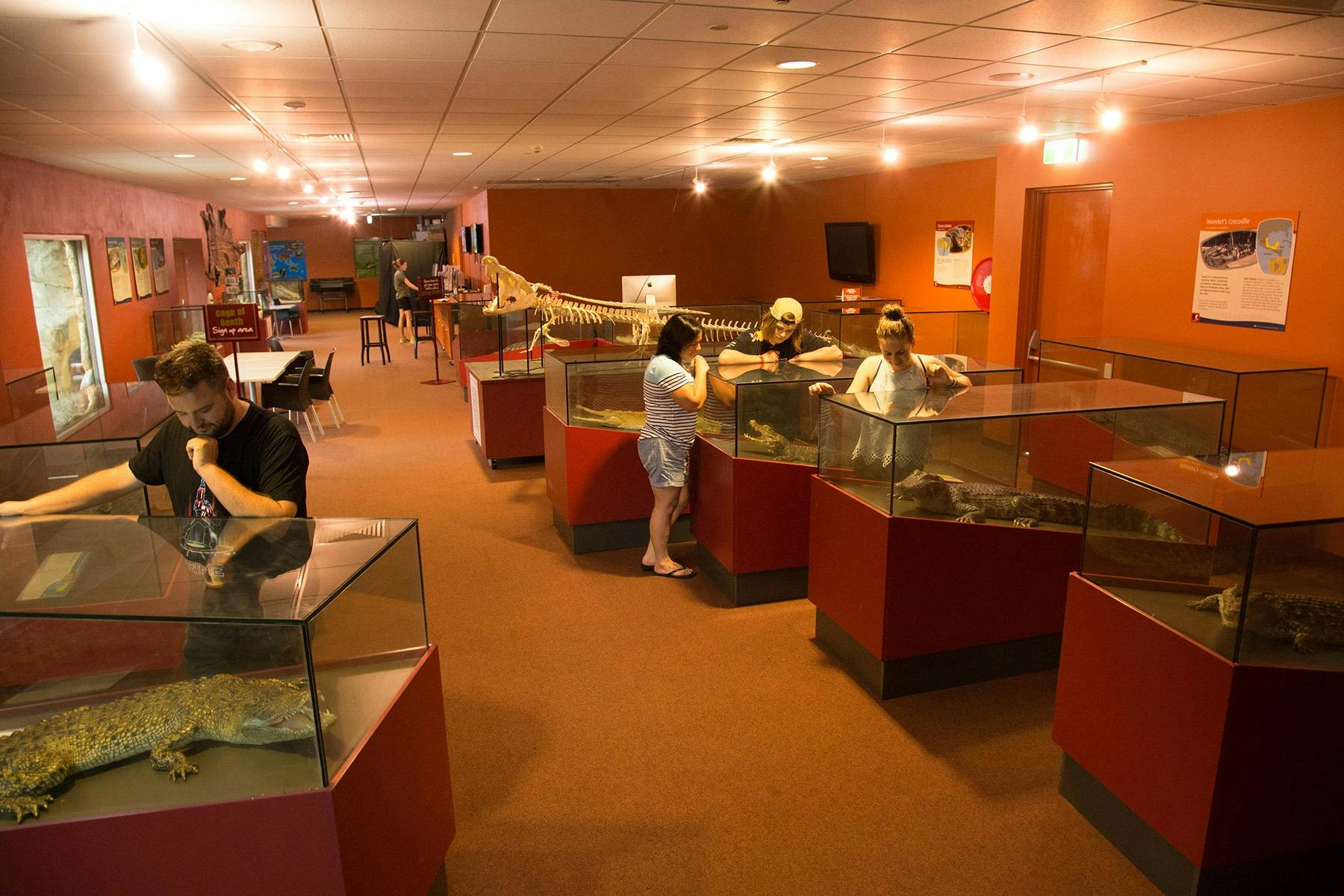 World-of-Crocs-feature