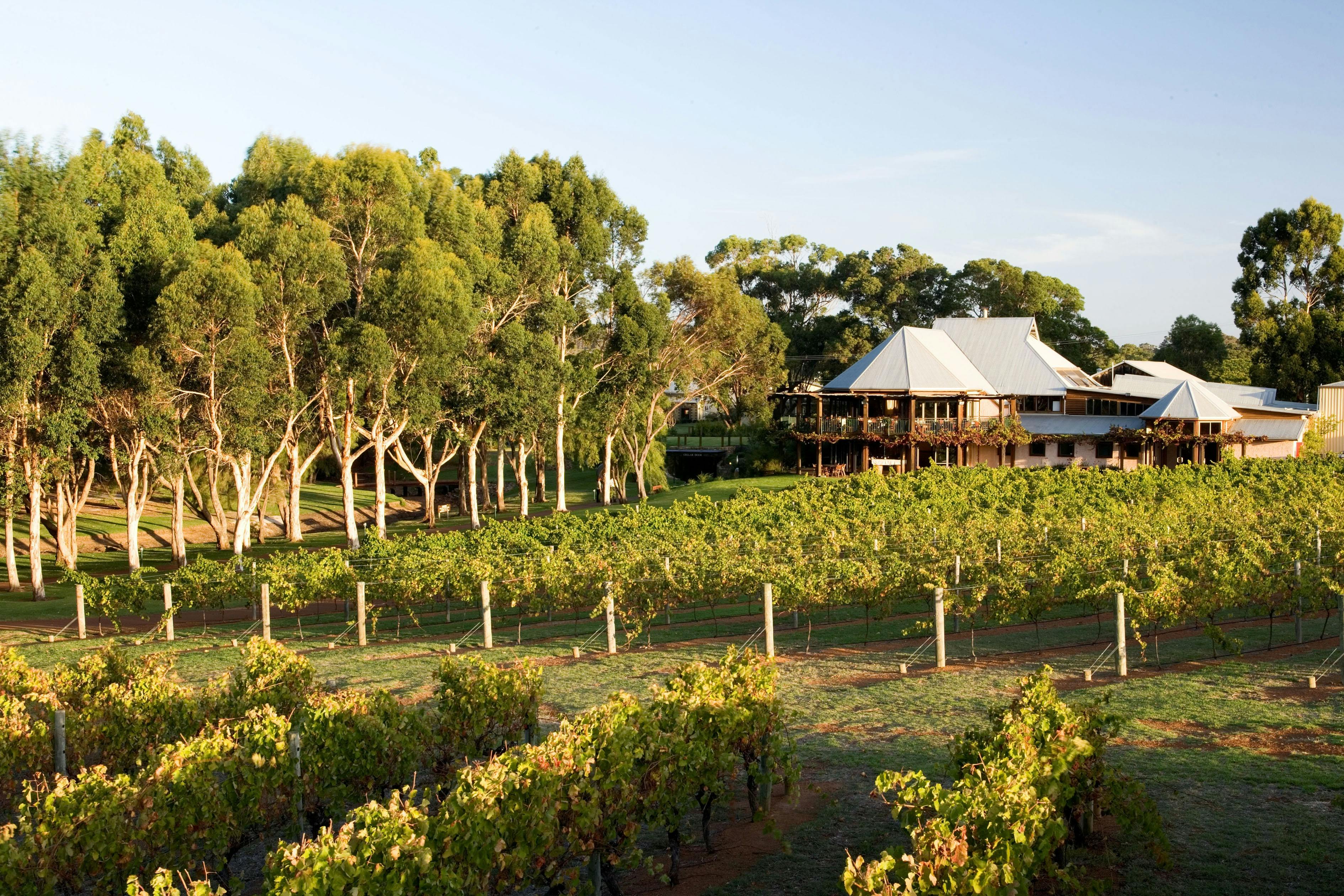 Vasse Felix Wine Estate