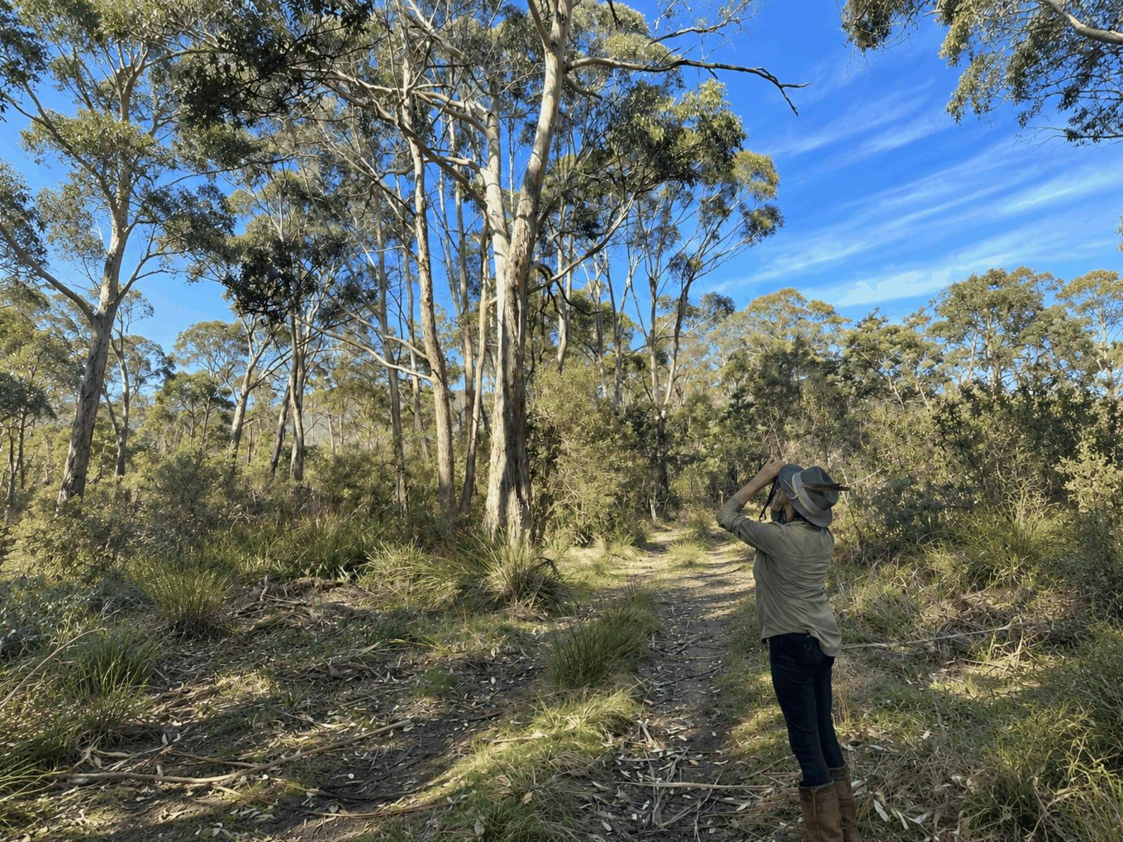 Birdwatching at Twamley Farm