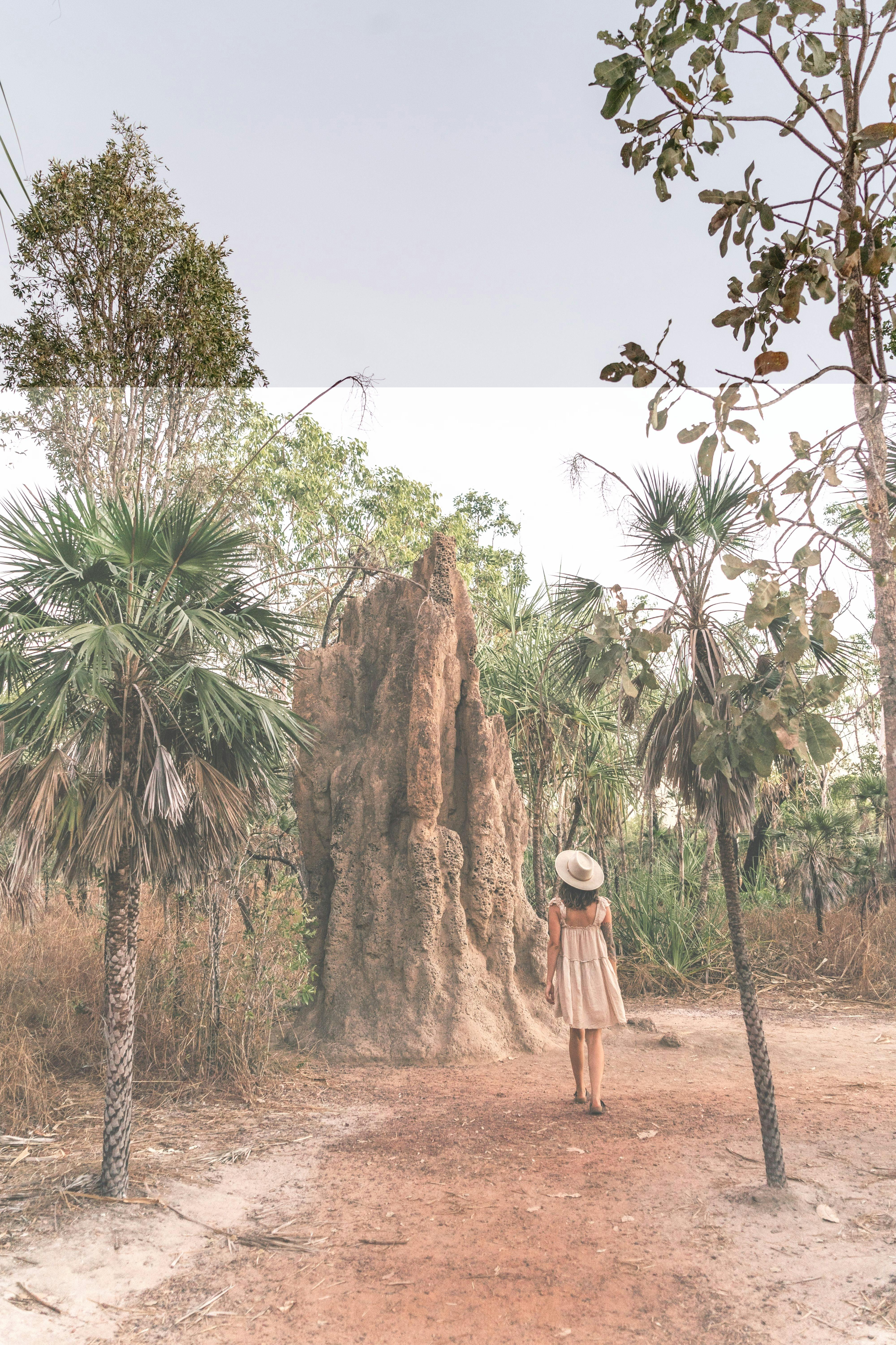 Magnetic Termite Mound
