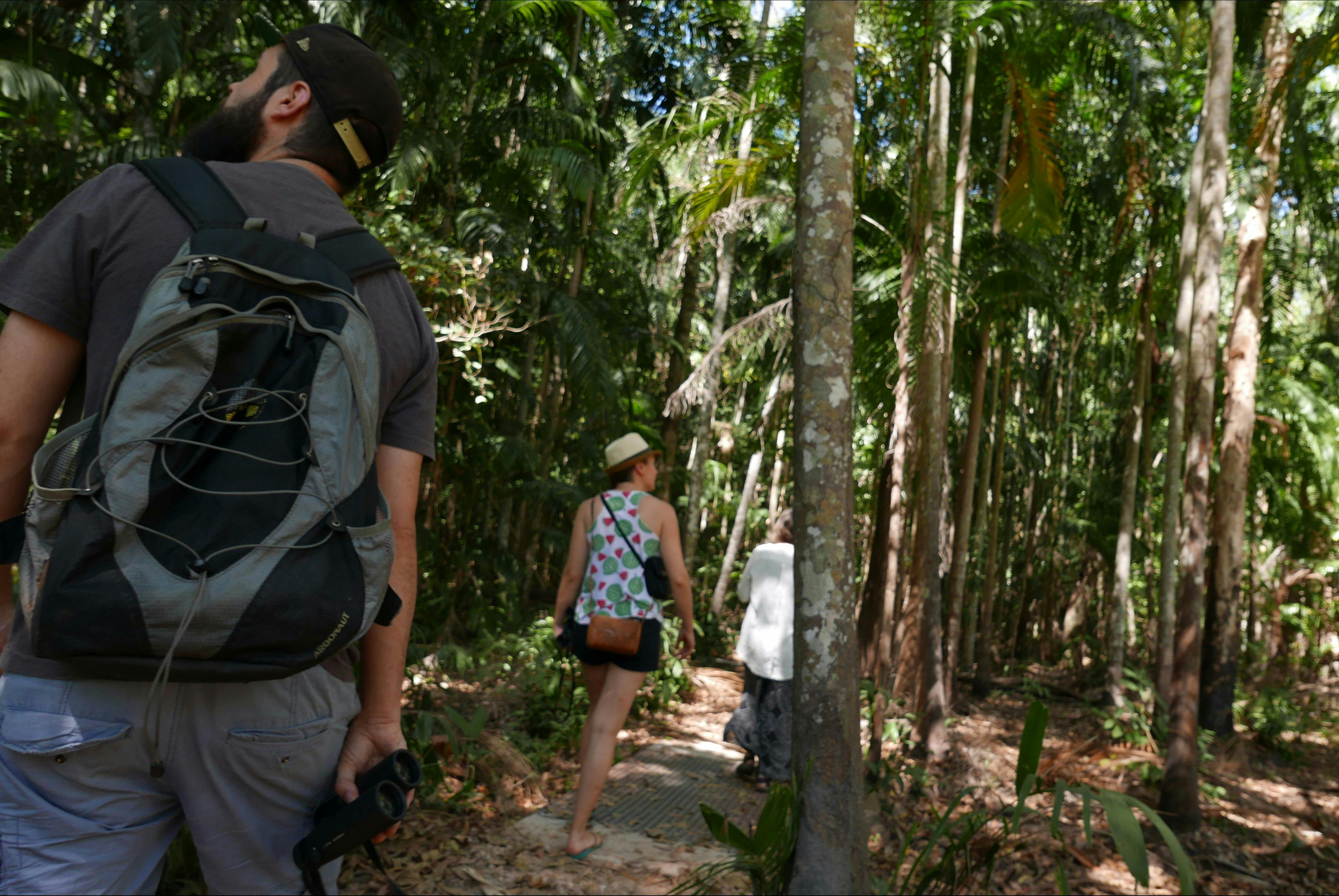 Holmes Jungle Nature Park