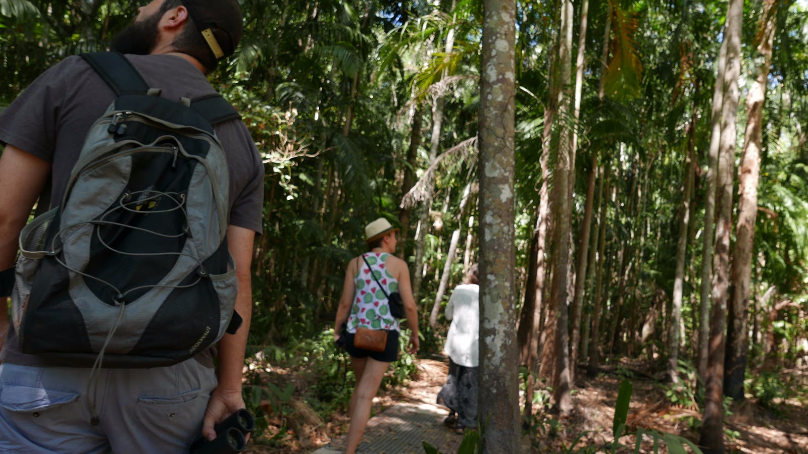 Holmes Jungle Nature Park