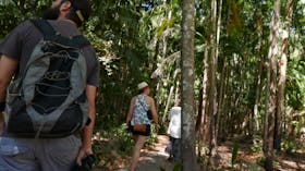 Holmes Jungle Nature Park