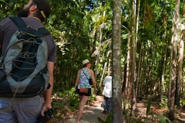 Holmes Jungle Nature Park