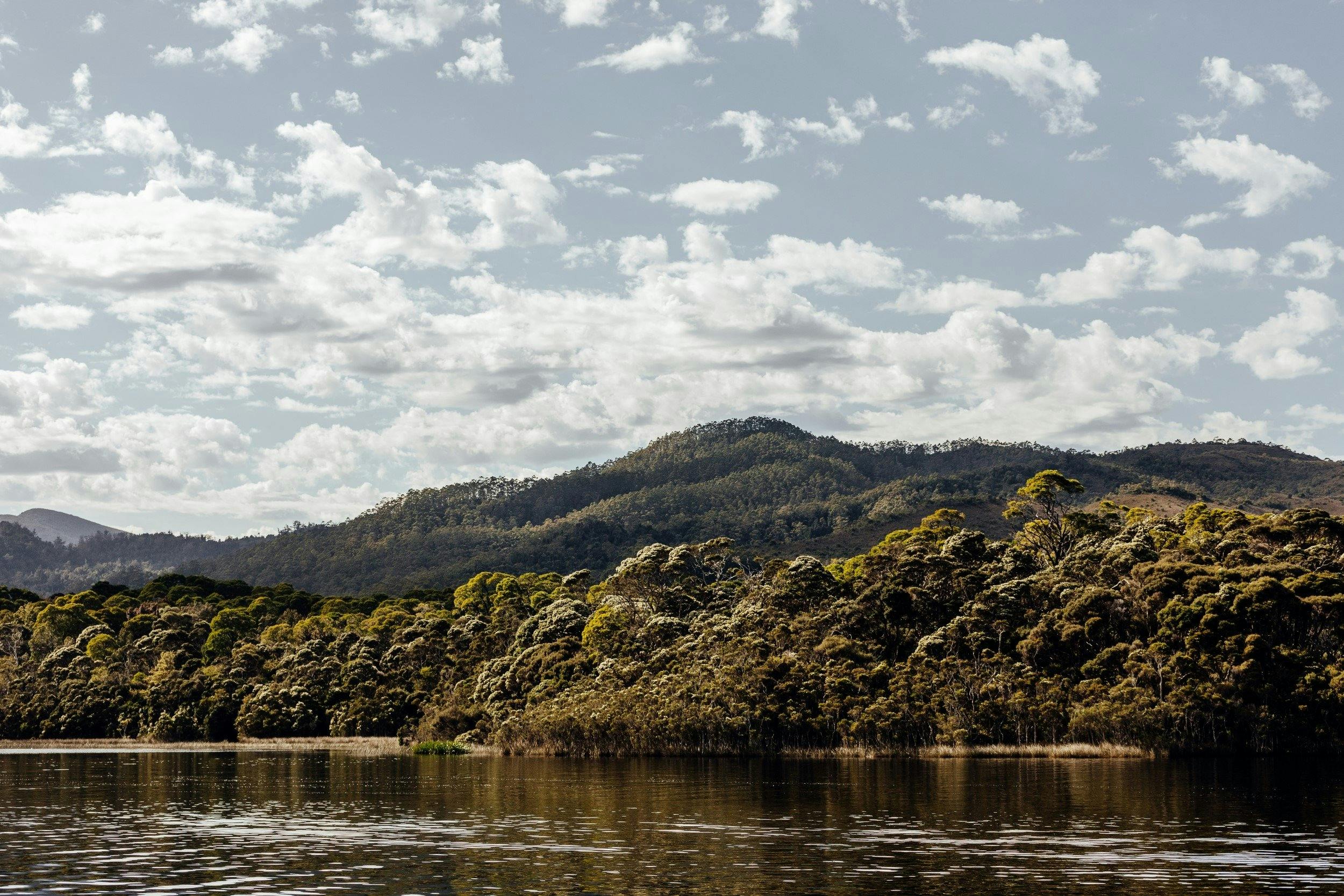 The Pillinger Explorer