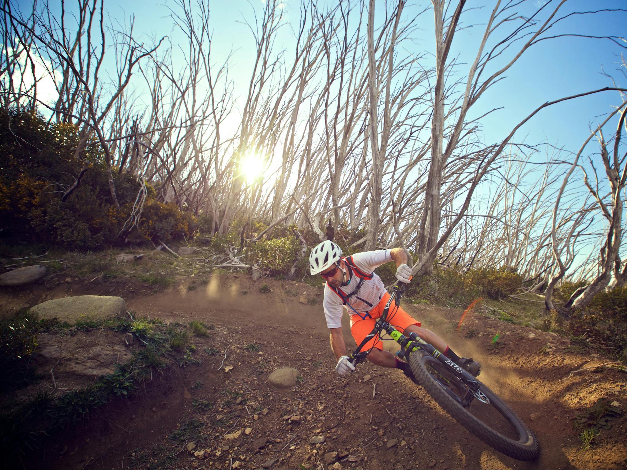 Ride your dream trails