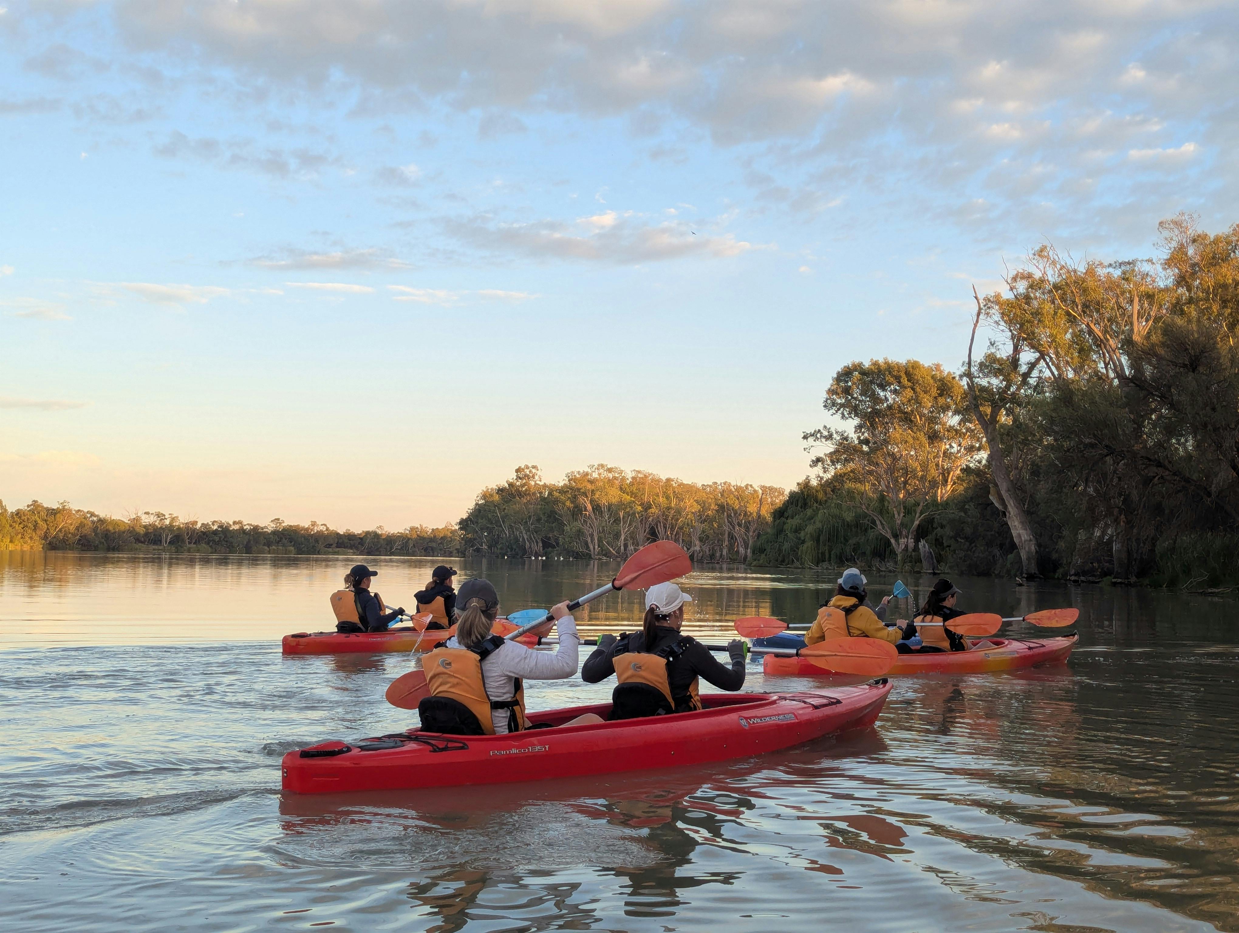 6 kayakers , wearing life jackets, in 3 double kayaks at sunrise on a calm wide river.