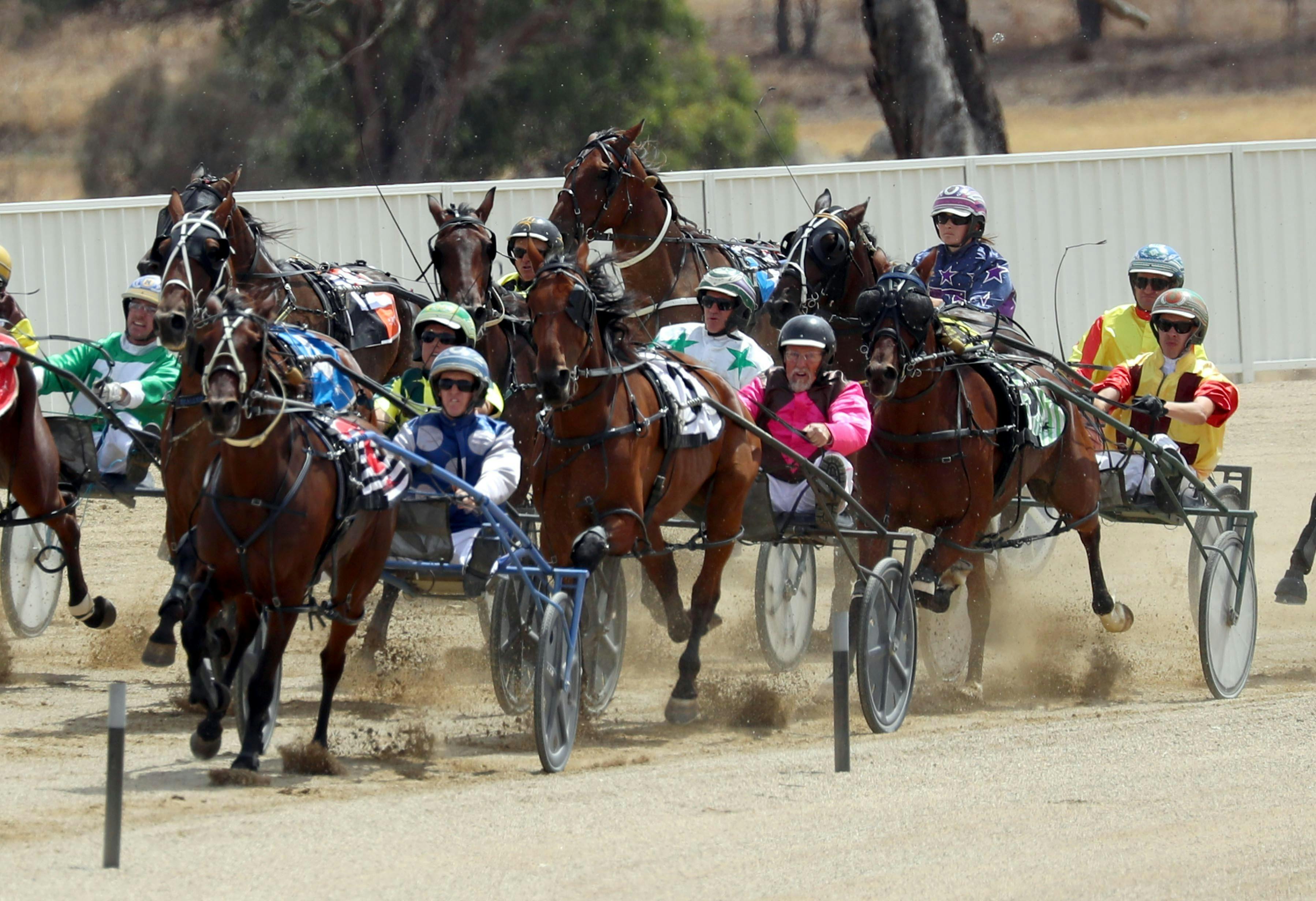 Riverina Paceway