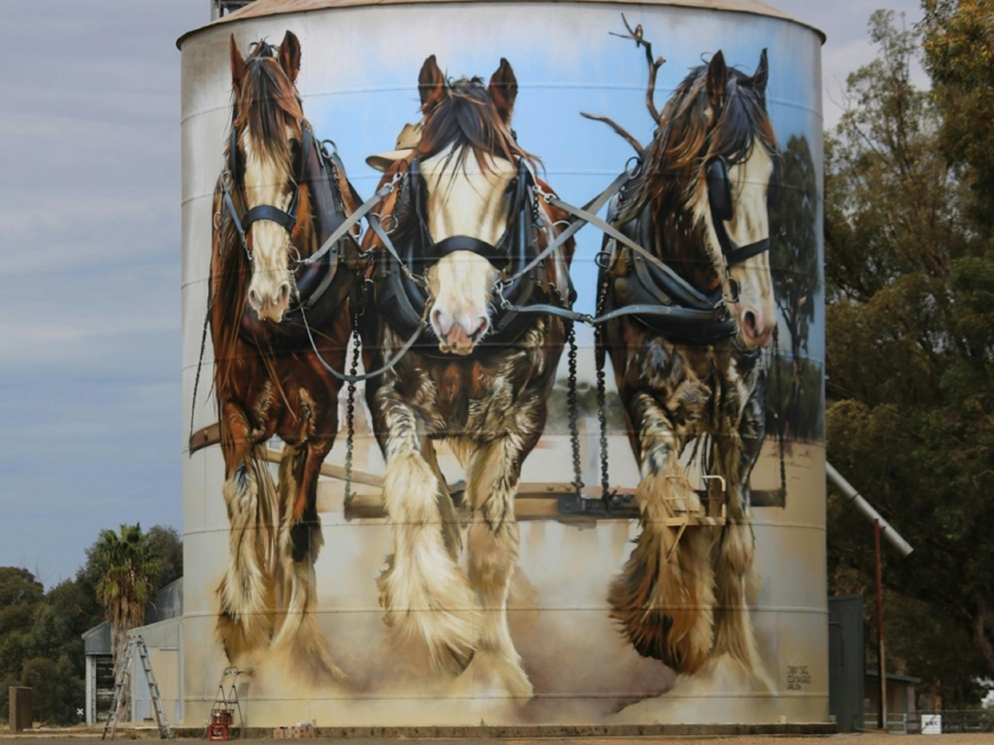 North East Victoria Silo Art