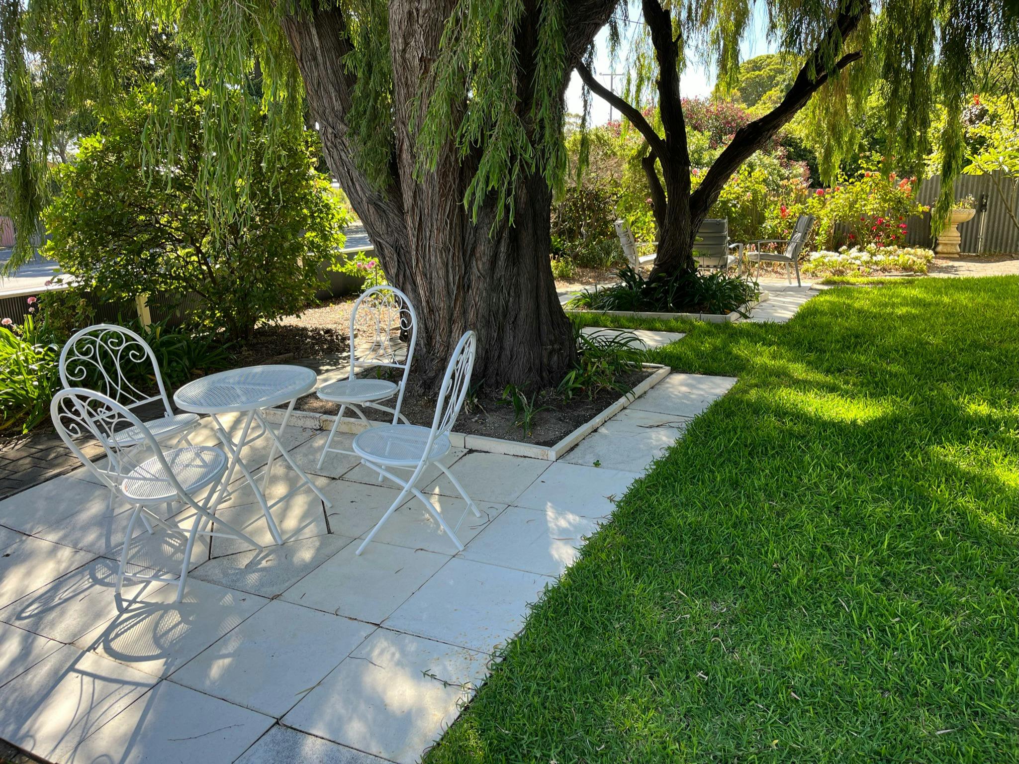 Garden with overhanging trees, grass and paved areas . White table and chairs on paved area.