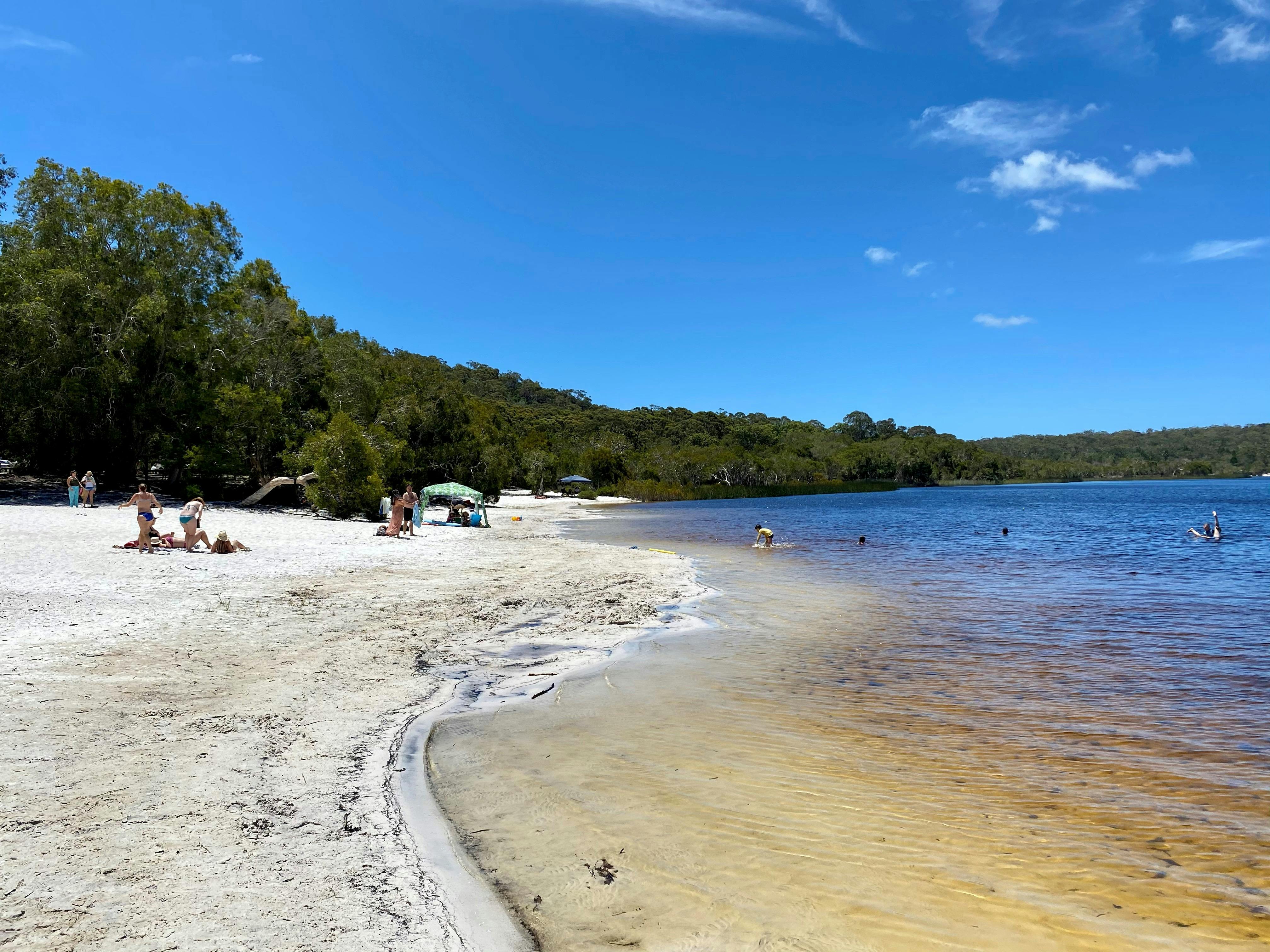 Brown Lake