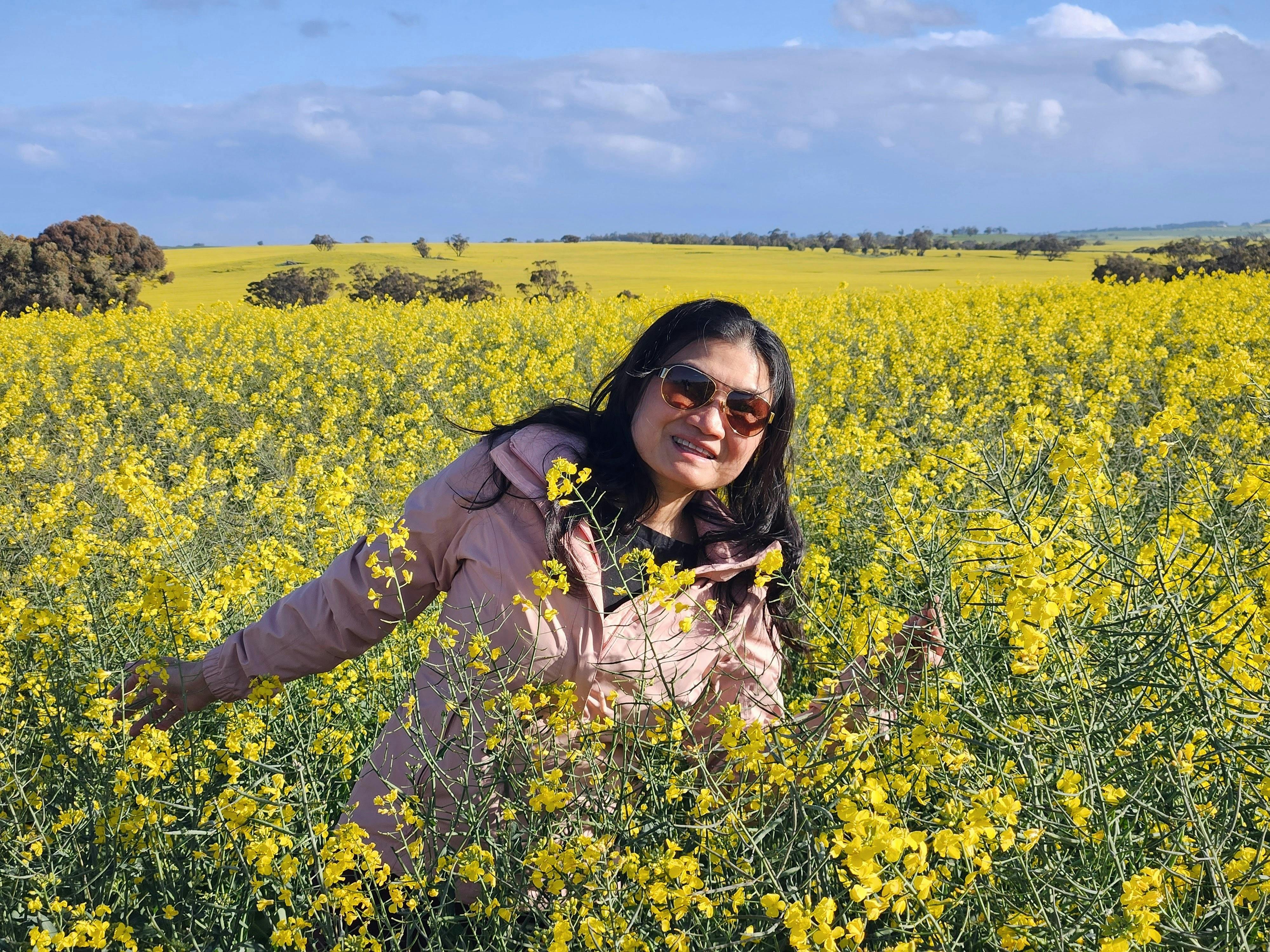 Canola Fields