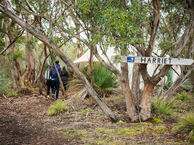 1 Day Kangaroo Island Wildlife Discovery Tour