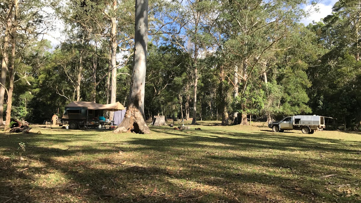 A camp set-up in a large grassy camping area with tall gum and eucalyptus trees throughout.