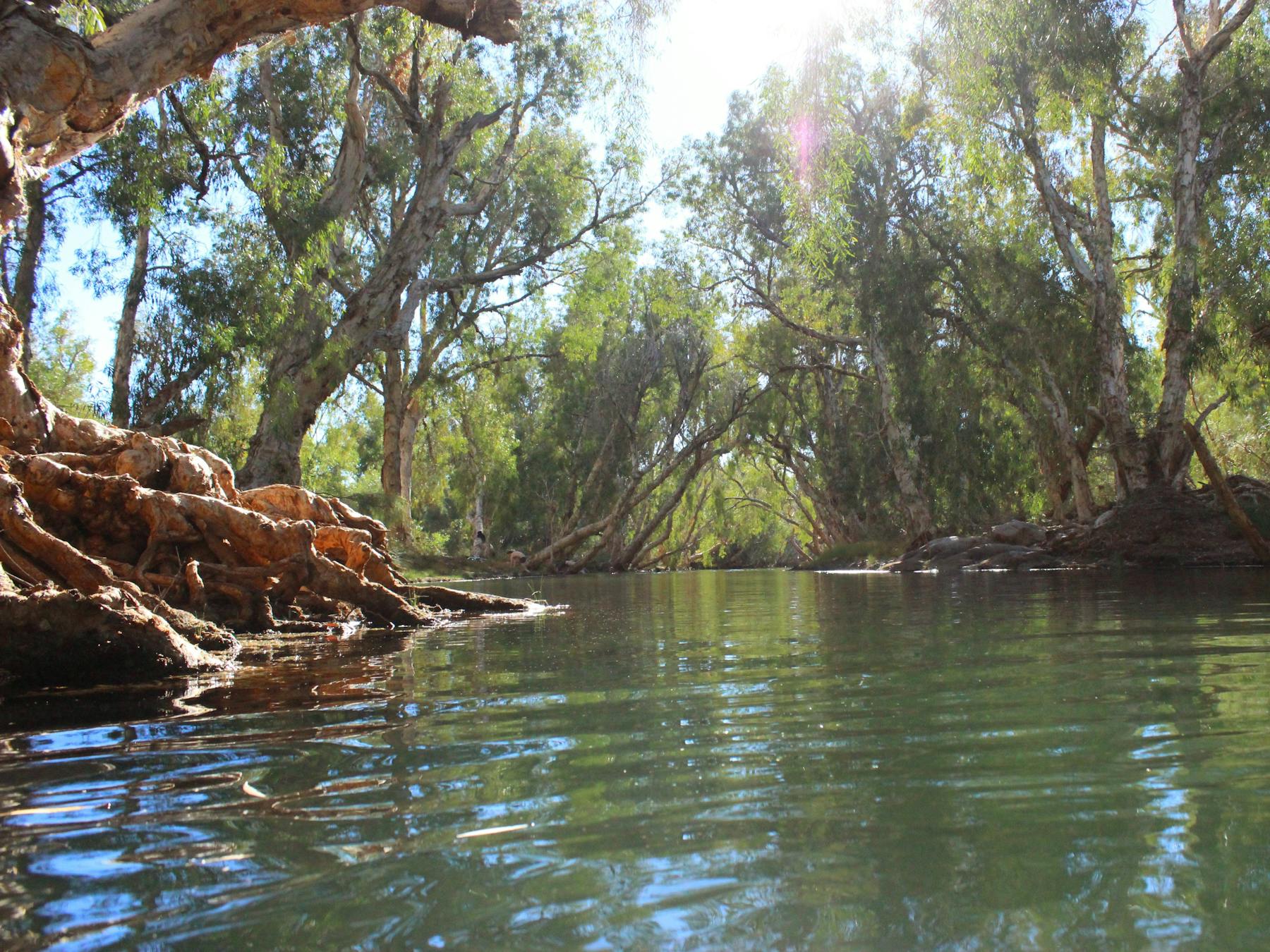 DACA Tours, Laverton, Western Australia