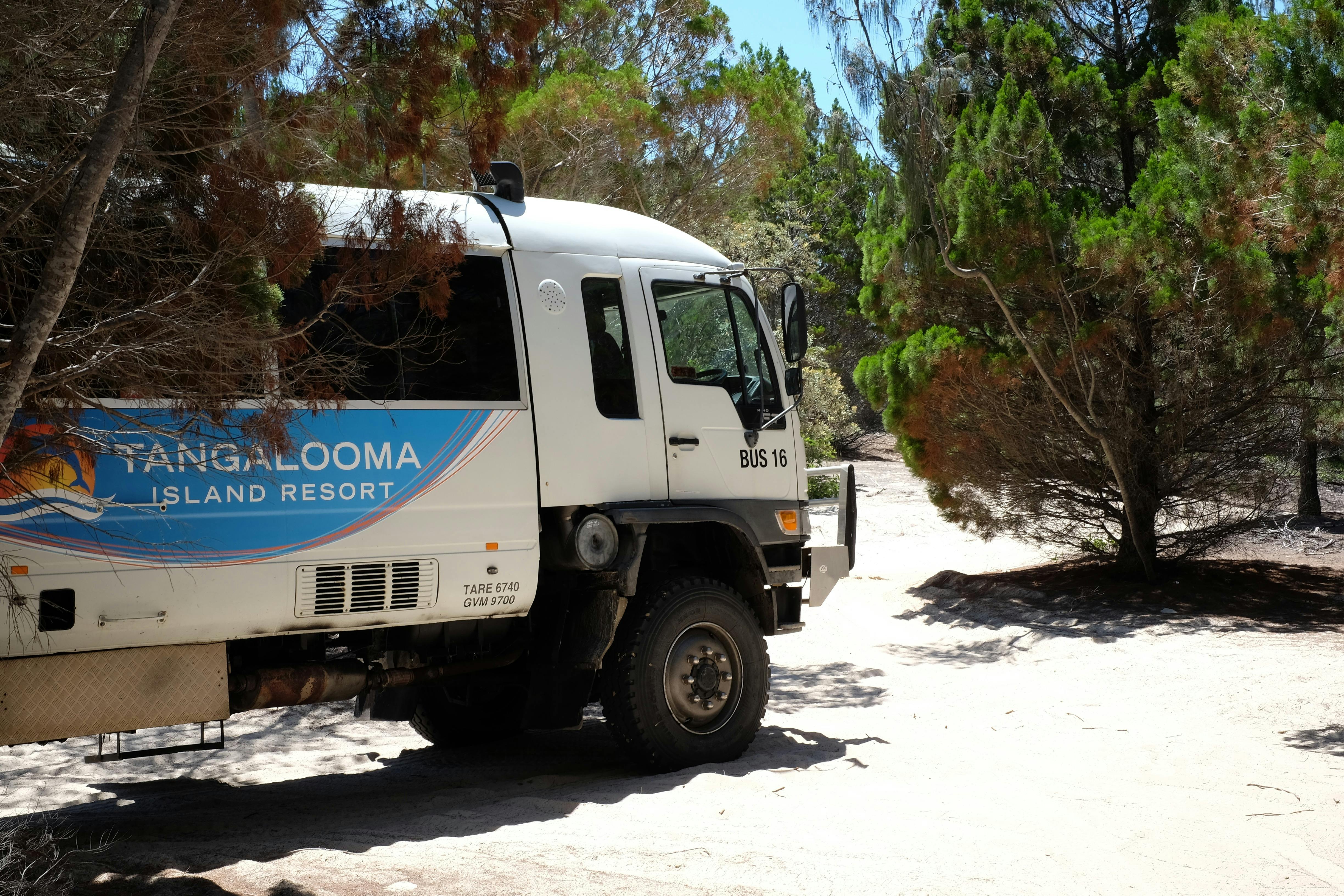 Tangalooma Island Resort 4WD Bus Safari Tours