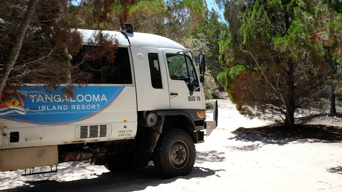 Tangalooma Island Resort 4WD Bus Safari Tours