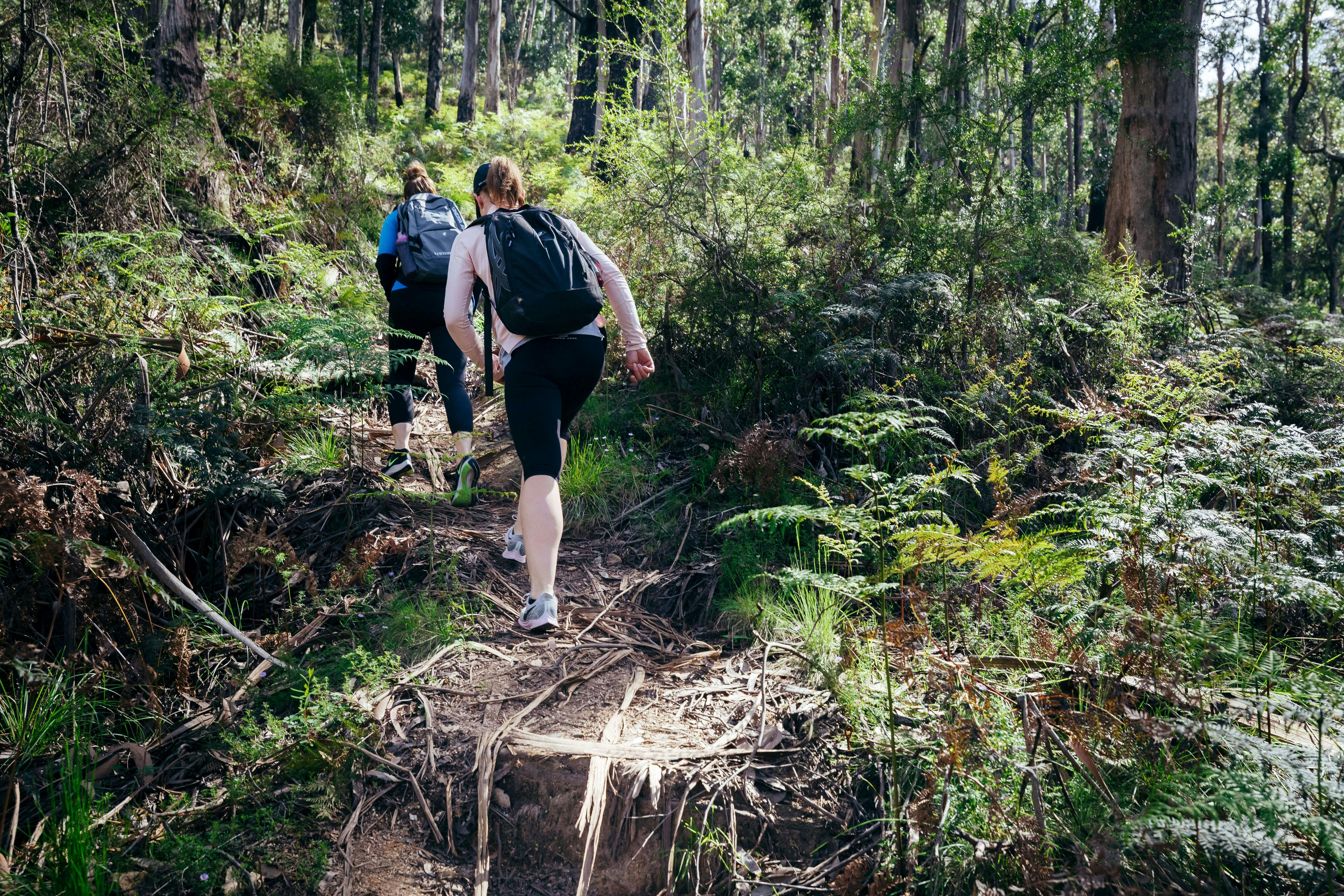 Mount Buangor State Park